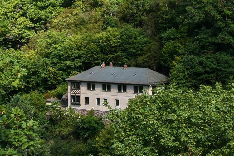Villa Haus am Berg Bad Bertrich Exterior foto